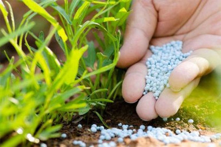India to be Self-Sufficient in Fertilizer Production - उर्वरक के मामले में 2 से 3 वर्षो के अंदर आत्मनिर्भर हो जाएगा भारत । 